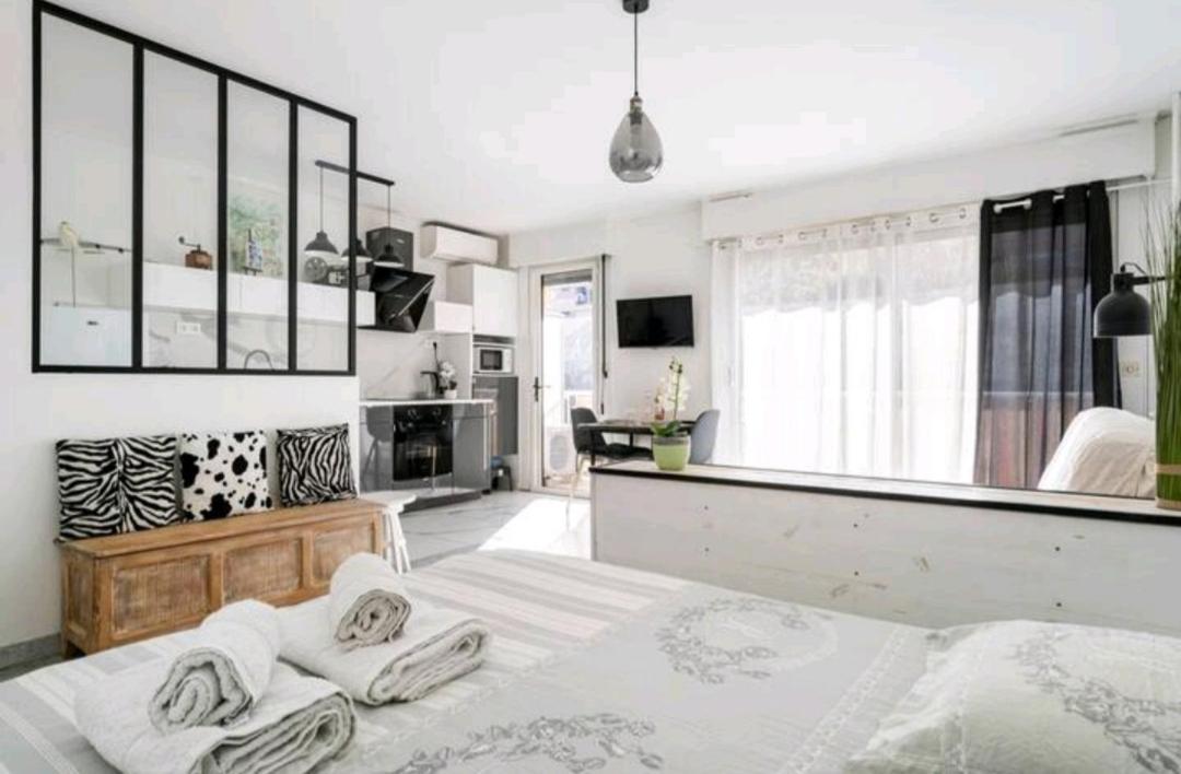 Apartment Design Loft Climatise Parking Et Piscine *